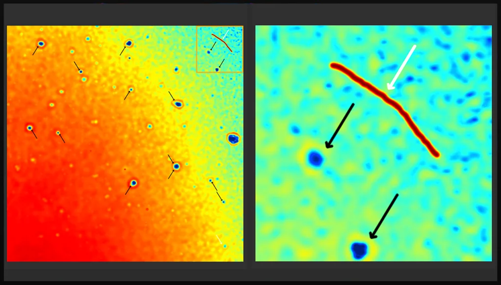 Scan with highlighted contamination and droplets